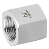 Female X Female Straight Adaptors 